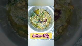 పొదినా చట్నీ mint chutney na style lo nachithe like share comment and subscribe 🔔💕 [upl. by Llerret]