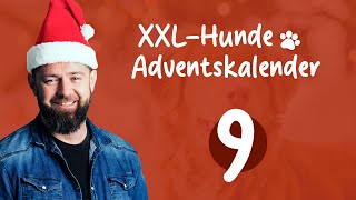 Türchen 9 🎄 XXLHundeAdventskalender 🐕 [upl. by Jesher811]