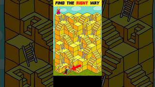 Test Your IQ  Can You Find The Correct Way    Mind Test Puzzles  shorts viral paheliyan [upl. by Ahsauqal]