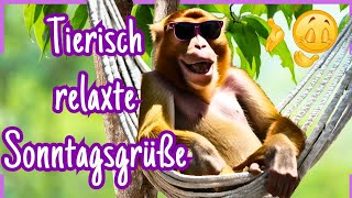 Es ist Sonntag 🌞 Ich hab witzige Wochenend  Grüße für dich dabei 🥳 [upl. by Sadye]