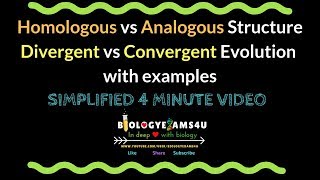 Homologous vs Analogous Structure Divergent vs Convergent Evolution with examples [upl. by Aneeled981]