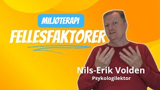 Fellesfaktorer i miljøterapi [upl. by Forester]