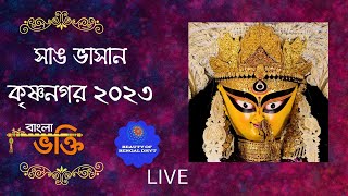 krishnagar jagadhatri puja visarjan । jagadhatri puja visarjan [upl. by Arymahs]