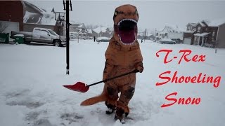 TRex shoveling snow [upl. by Amsirhc317]