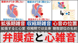 【11分で解説、10分で国試問題】弁膜症について解説 [upl. by Sices]