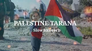 Palestine Tarana  Labbaiq Yea Aqsa  New Urdu naatSlowed amp Reverbed [upl. by Lillie]