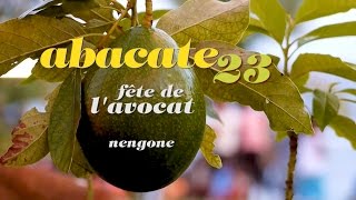 ABACATE 23 Maré Avocado Festival 2016 official shortfilm [upl. by Butterfield198]