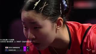 Harimoto Miwa vs YangZi Liu  WTT Champions Montpellier 2024 [upl. by Saloma]