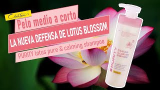 【Chihtsai】La nueva defensa de Lotus BlossomPURITY lotus pure amp calming shampoo ｜ESP｜ [upl. by Ekul]