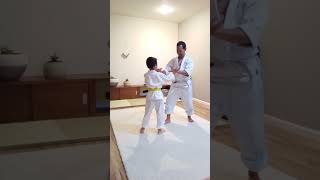 Push Hands Aikido Practice 5  Tai Chi Inspired Body Awareness amp Balance Exercises with Renta [upl. by Llirrehs458]