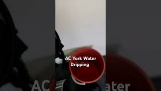 AC YORK water dripping airconditionercleaning [upl. by Lertnahs959]