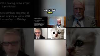 Lawyer Gets Stuck With Cat Filter During Virtual Hearingshorts [upl. by Anselm831]