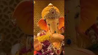 Ganpati Bappa Morya 🙏🏻 ringtone download pagalworld mp3 ganesh shorts viralvideo subscribe [upl. by Baten94]