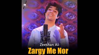 zeshan ali zargar pashto song zargai me nor pa saro lambo maswazawa lewanai [upl. by Eltsryk]