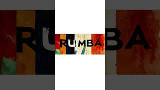 Rumba Coming soon music newreggaeton release dancemusic rumba regaetton [upl. by Johppa624]