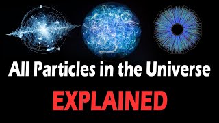 Every Particle in the Universe in 8 minutes [upl. by Annairda]