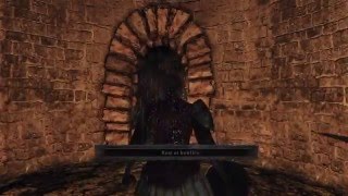 Dark Souls II  How to Armorer Dennis in Forest of Fallen Giants  PS4 [upl. by Veradia187]