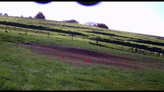 Davide Pedersoli La Bohemienne side by side hammer free practice at Barbury Castle 11th November 23 [upl. by Kirshbaum882]