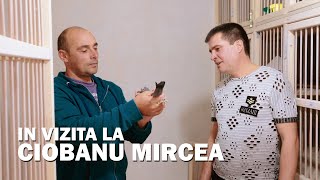 Interviu Ciobanu Mircea [upl. by Ulu857]