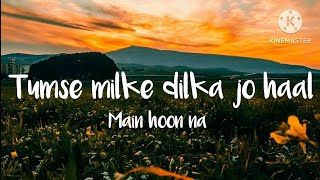 Tumse milke dilka jo haal lyrics  lyrics tube [upl. by Eckardt]