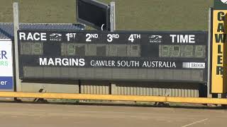 Gawler31072024Race8 [upl. by Shina962]