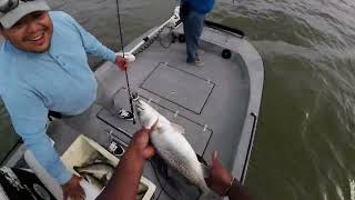 Fishing Galveston Bay EP 13 Popping Corks with Live Shrimp [upl. by Leehar]