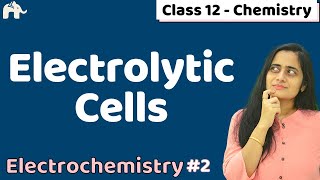 Electrochemistry Class 12 2 Electrolytic cells  CBSE NEET JEE  One Shot  Chapter 3 [upl. by Nica]