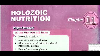 holozoic nutrition part 3 [upl. by Casey]