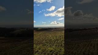 Drone Over Morgon CRU BEAUJOLAIS France [upl. by Lukin902]