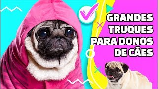 5 Ideias de brinquedos de cachorro fáceis de fazer em casa [upl. by Epilihp289]