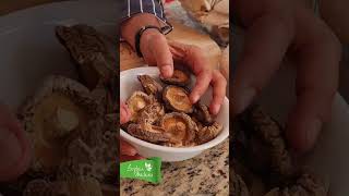 Conoce los Hongos Shiitake regresaalobasico shayamichan vidasaludable comidavegetariana [upl. by Krystyna]