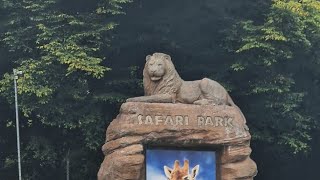 West Midlands Safari Park [upl. by Sissie820]