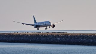 MAYOTTE  Landing B788 FOLRC 19112023 [upl. by Smoot]