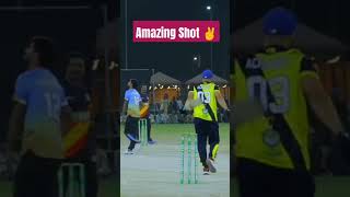 amazingshots cricket video [upl. by Olympias]