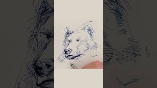 Digital Art Showcase Creating a Bear Drawing on Paper with Ink [upl. by Eitak749]