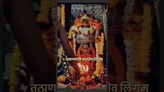 Lingashtakam Lord Shiva Songs Brahma Murari SurarchitaLingam  Hindi Devotional Songsshiv [upl. by Ydnys]