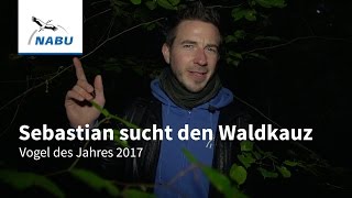 Der Waldkauz Vogel des Jahres 2017 [upl. by Kellia466]