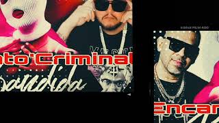 🎧🎤🎧 ENCANTO CRiMiNAL LANÇAMENTO 2024 ERICK JAY FT WT REAL 🎧🎧 [upl. by Iah832]