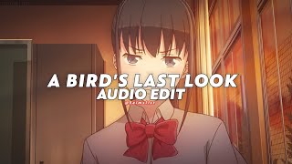 a birds last look jersey remix  macabre plaza edit audio [upl. by Adriena]