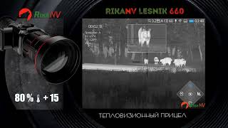 Точный выстрел по кабану с прицелом RikaNV Lesnik 660 [upl. by Dickson]