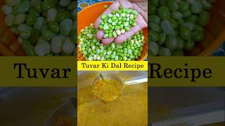 तुवर के दानो की स्वादिष्ट दाल  Tuvar Ke Dano Ki Dal  Amti Recipe [upl. by Burkhard]