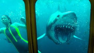 47 Meters Down UNCAGED  Ending Sister scene 47metersdown HD [upl. by Ahsinac]