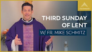 Third Sunday of Lent  Mass with Fr Mike Schmitz [upl. by Wallis]