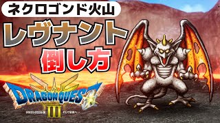 レヴナントの倒し方ネクロゴンド火山【ドラクエⅢR攻略】 [upl. by Holton]