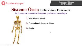 ESQUELETO AXIAL [upl. by Adnirol]