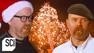 Can Christmas Tree Lights Spark a Fire  MythBusters [upl. by Ased]