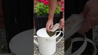 EcoFriendly Slug Control – Why We Use Nemaslug Nematodes in our Garden [upl. by Thurlough439]