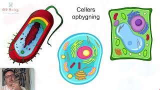 Cellers opbygning  Biologi 7 årgang [upl. by Merralee442]