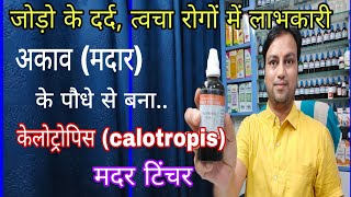 अकाव मदार से बनी दवा के अद्भुत उपयोग Calotropis gigantea mother tincture rheumatism ki best dava [upl. by Eula47]