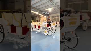 Horse Carriage carriage automobile horseless museum park wedding playground [upl. by Manthei]